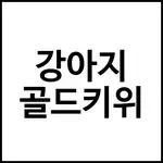 강아지 골드키위