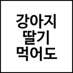강아지 딸기 먹어도