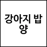 강아지 밥 양