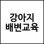 강아지 배변교육