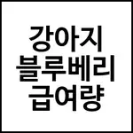 강아지 블루베리 급여량