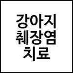 강아지 췌장염 치료