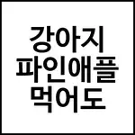 강아지 파인애플 먹어도