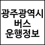 광주광역시 버스 운행정보
