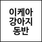 이케아 강아지 동반