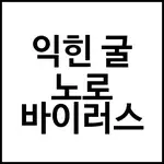 익힌 굴 노로 바이러스